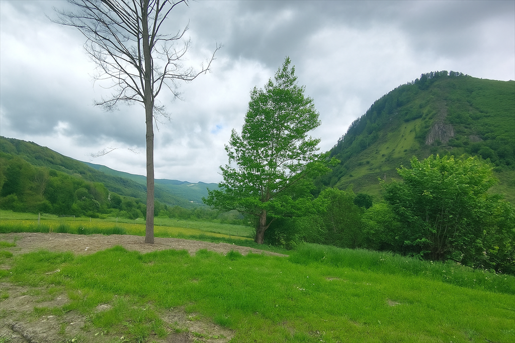 Vente Terrain Oô 31110 OÔ