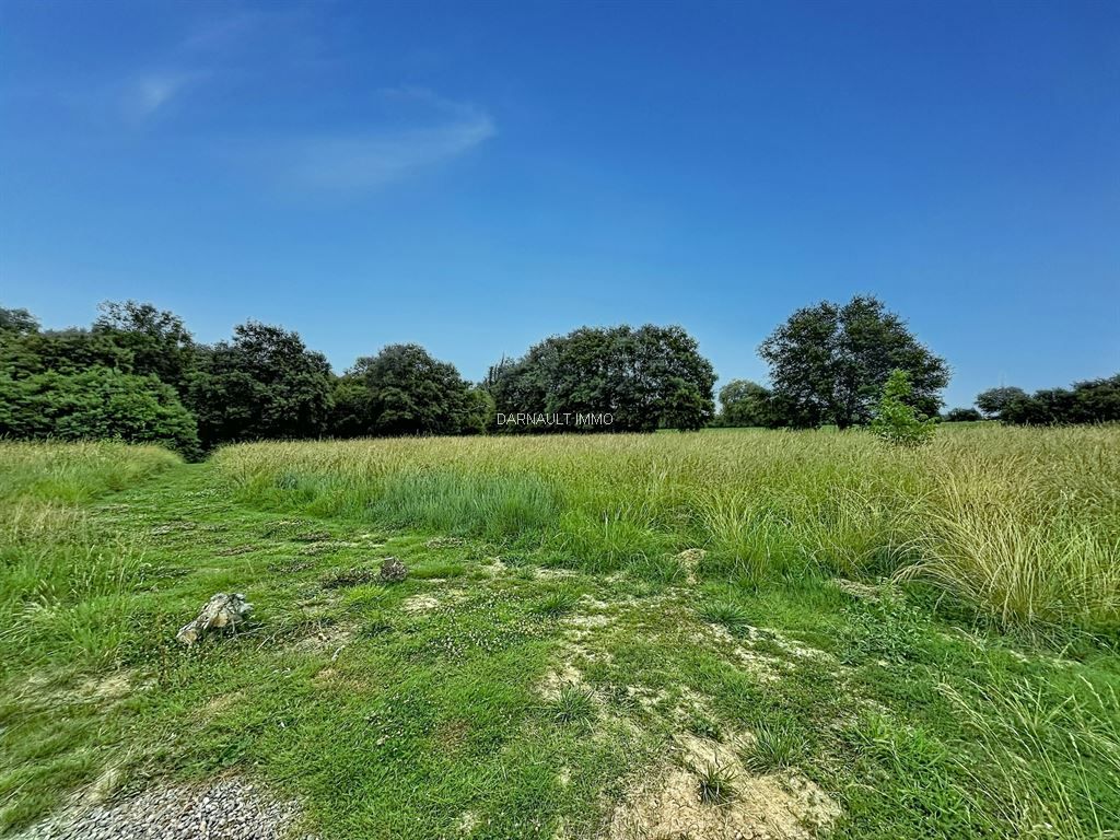 Vente Terrain Balma 31130