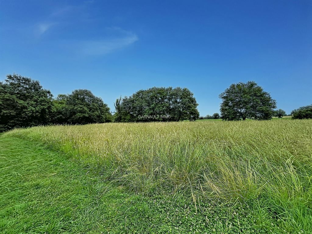 terrain en vente sur BALMA (31130)