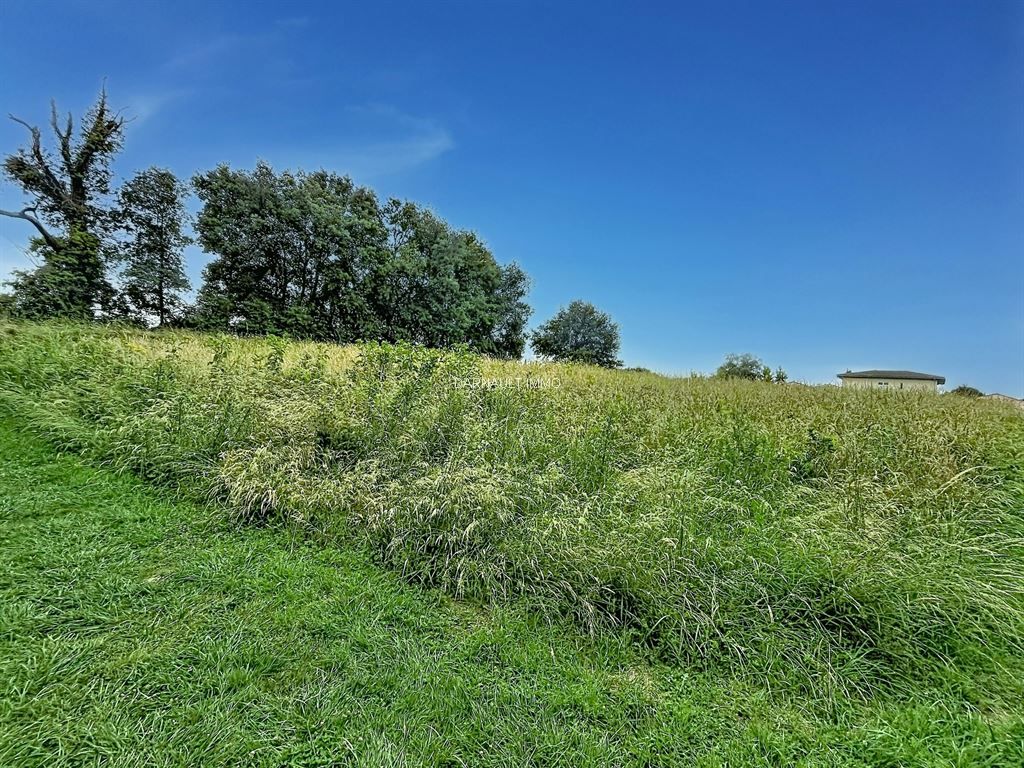 terrain en vente sur BALMA (31130)