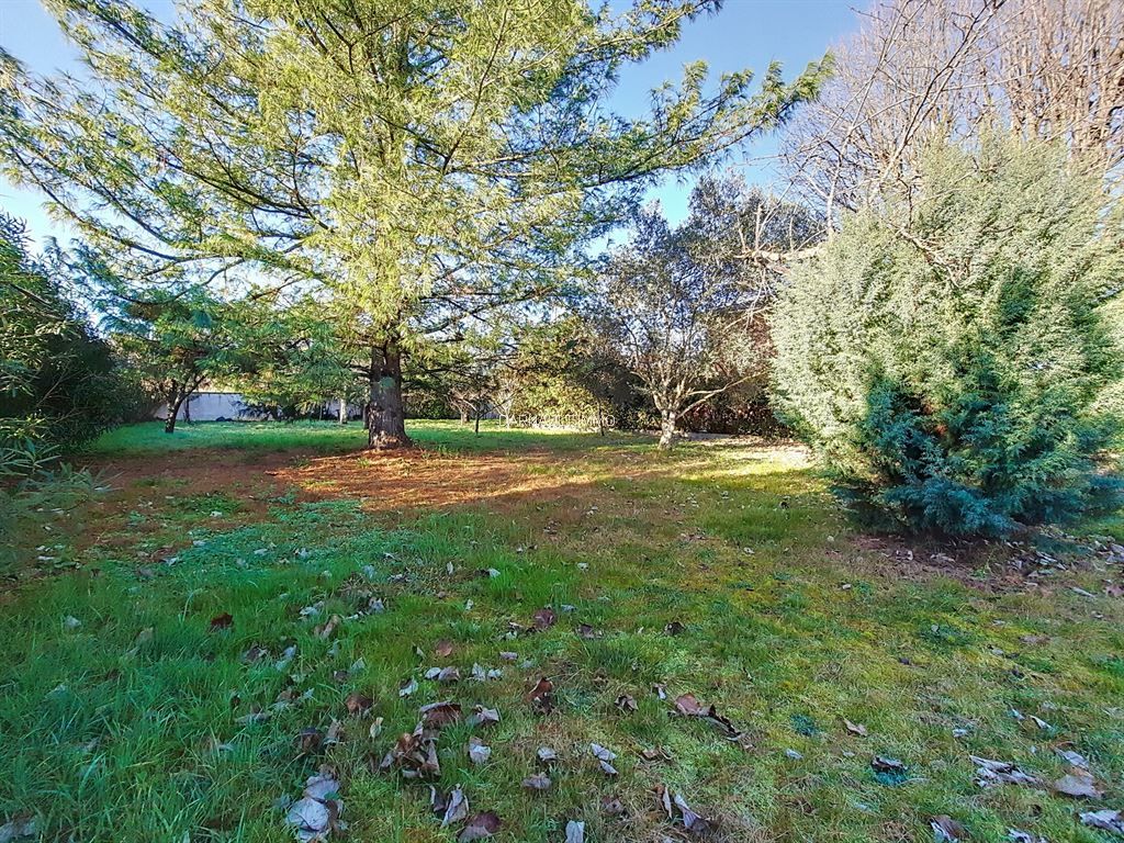 terrain en vente sur BALMA (31130)